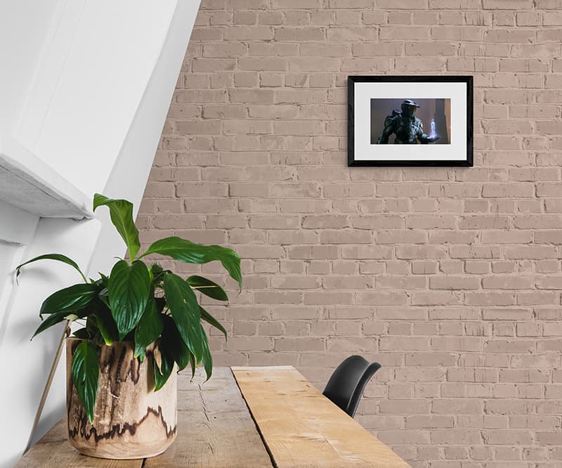 Framed Prints